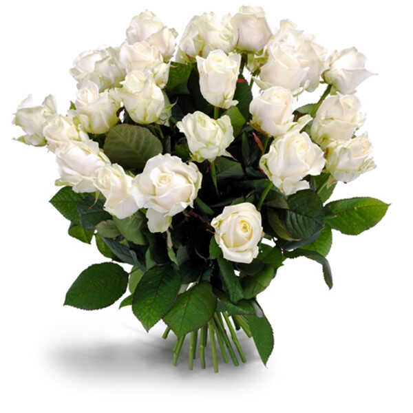 Букет «Первоклассные белые розы»